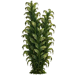 Haunted Seaweed aquarium decoration