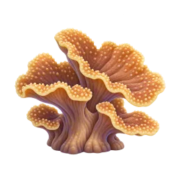 Leather Coral aquarium decoration