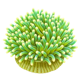 Sea Anemone 2 aquarium decoration
