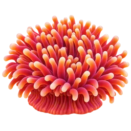 Sea Anemone 5 aquarium decoration