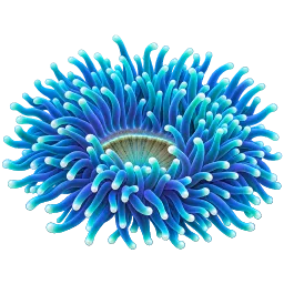 Sea Anemone Cave 4 aquarium decoration