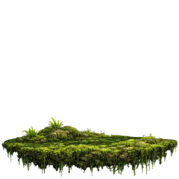 Floating Swamp Moss aquarium decoration