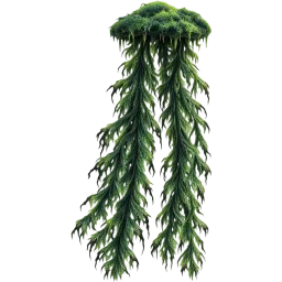 Haunted Floating Seaweed aquarium decoration