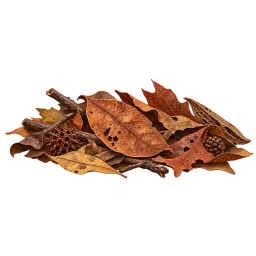Mixed Leaf Litter Scatter aquarium decoration