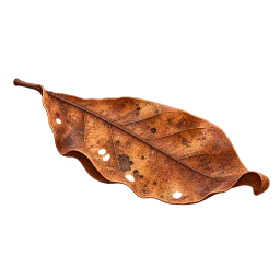 Single Loose Leaf aquarium decoration